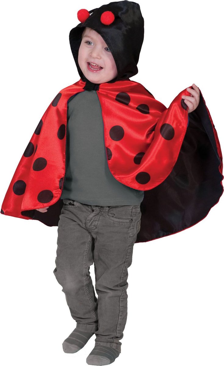 Lieveheersbeest Kostuum | Buggy Lieveheersbeest Pak | One Size | Carnaval kostuum | Verkleedkleding